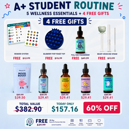 A+ Student Routine